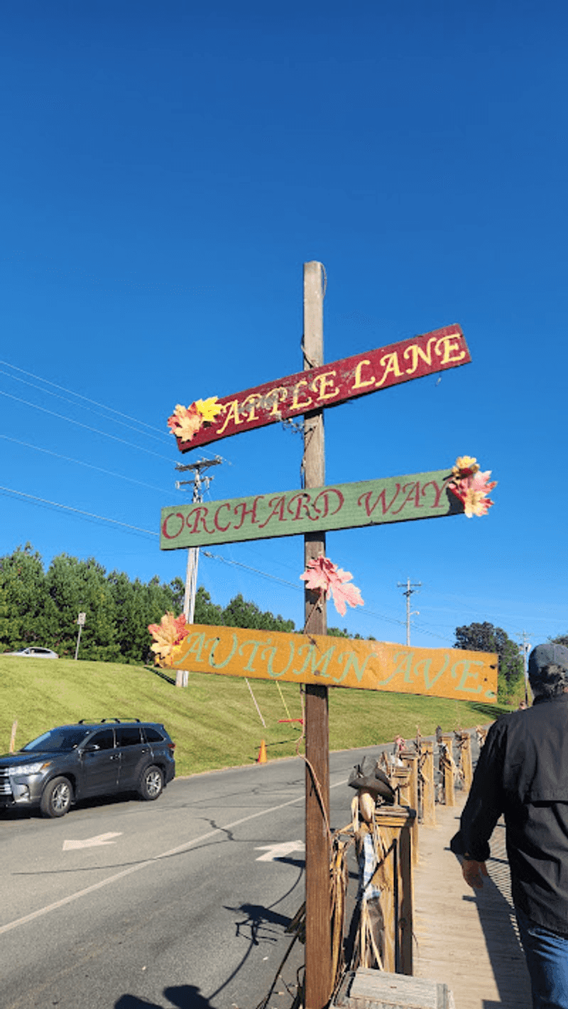 Road Trip Tips Before You Go