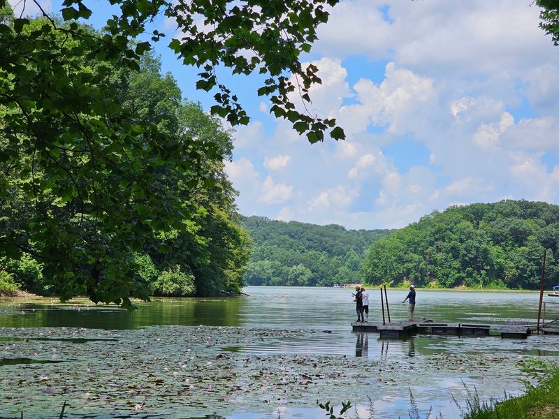 Fishing From Boat Docks And Quiet Coves
