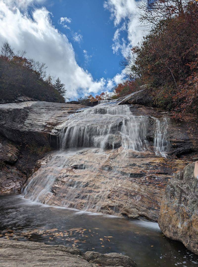 Graveyard Fields Loop Trail