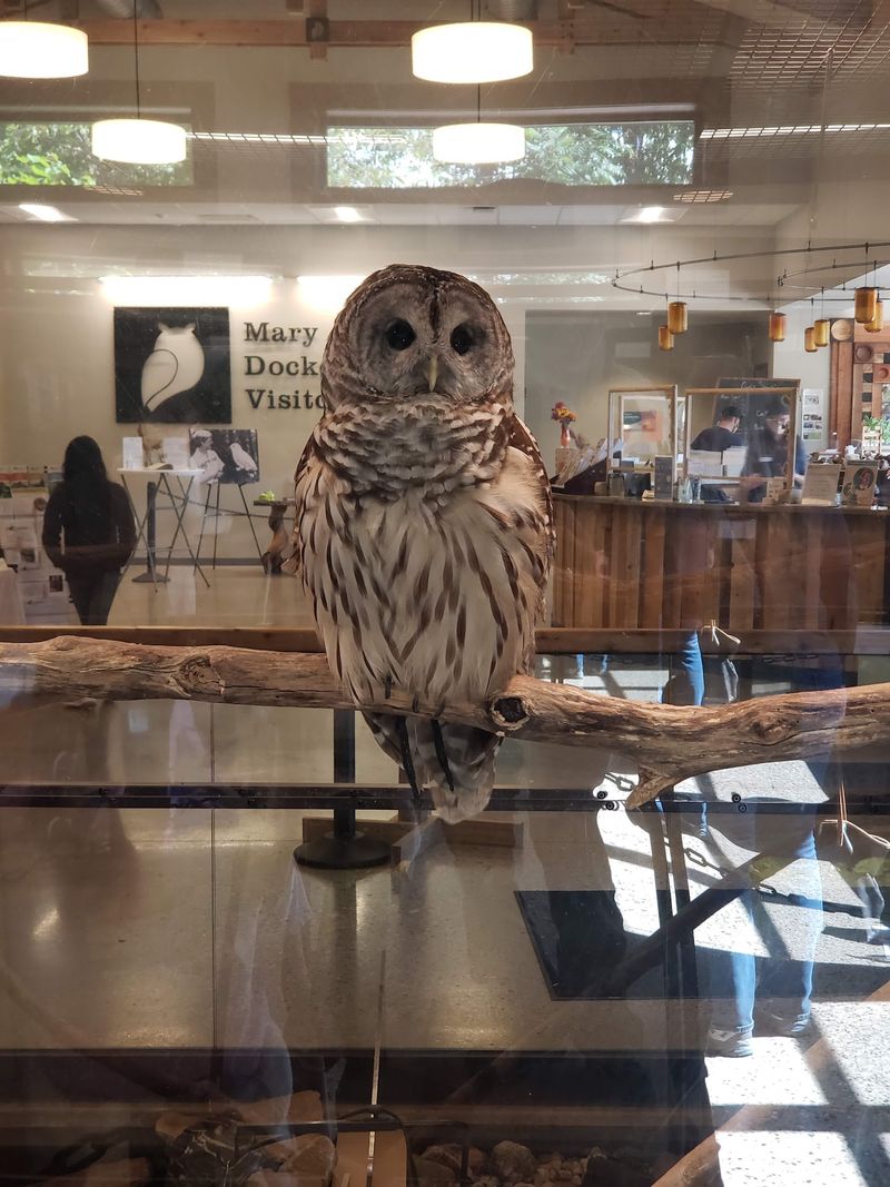 Blandford Nature Center - Grand Rapids, Kent County,