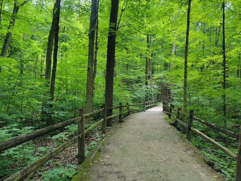 Grass Underfoot Instead of Pavement - Goldenrod Trail, Blendon Woods Metro Park