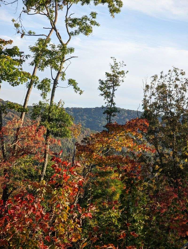 Take in Mountain Views From the Saddle