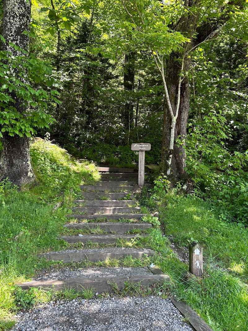 Follow the Tanawha Trail Toward Rough Ridge