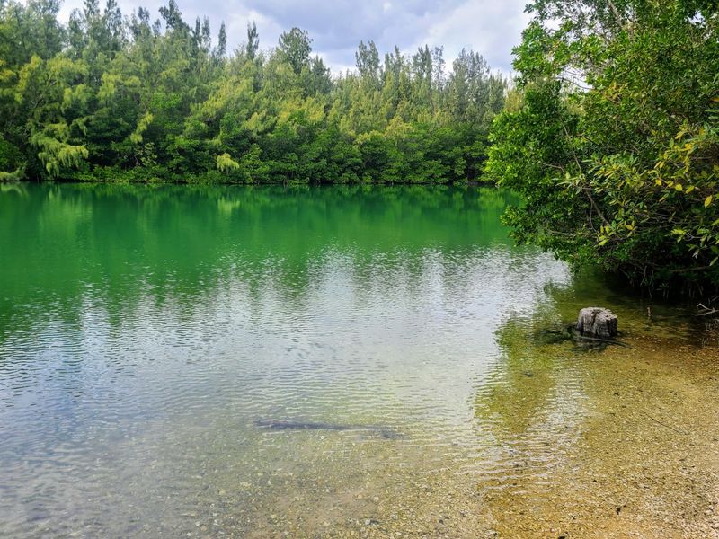 Oleta River State Park - North Miami Beach