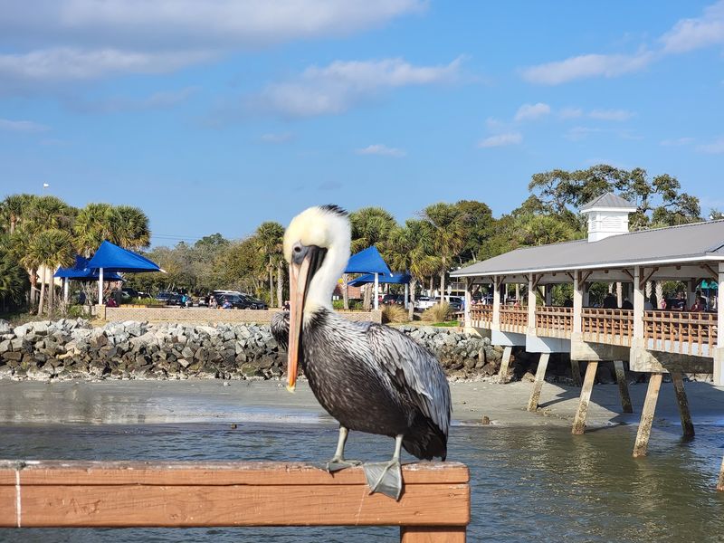 Jekyll Island - Golden Isles