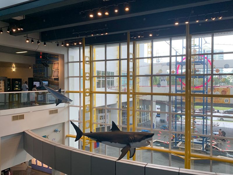 Hands-On Wonder at Museum of Discovery and Science - Fort Lauderdale