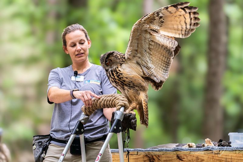 Why The Carolina Raptor Center Is Unlike A Traditional Zoo