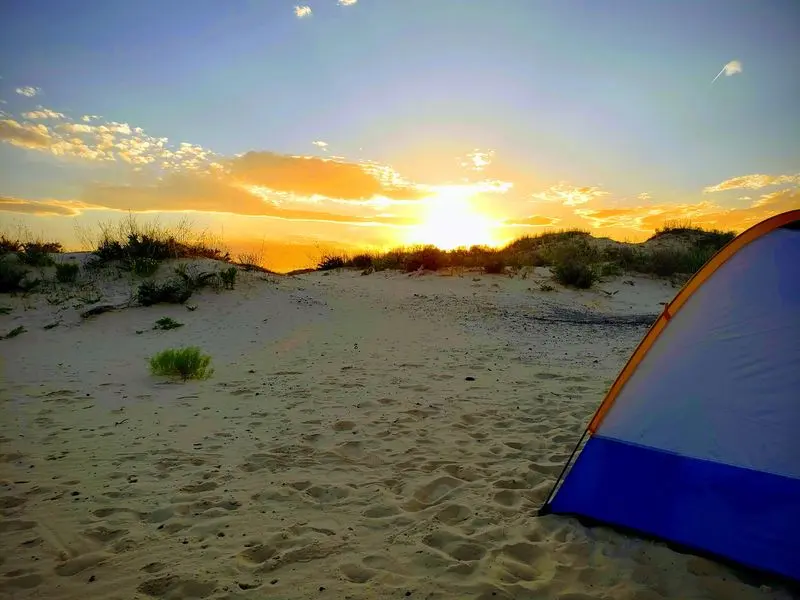 Monahans Sandhills State Park - Monahans