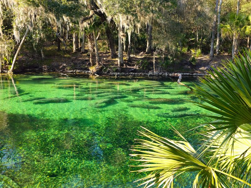 Blue Spring State Park - Orange City
