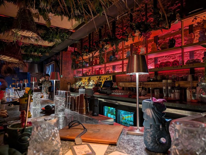 Service, Atmosphere, and the Fun of Watching the Bar