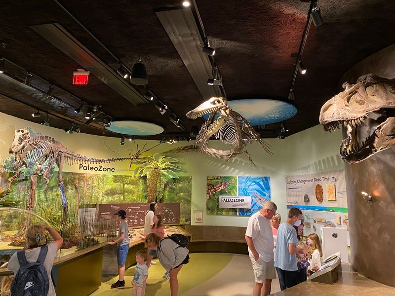 Delaware Museum of Nature & Science - Wilmington