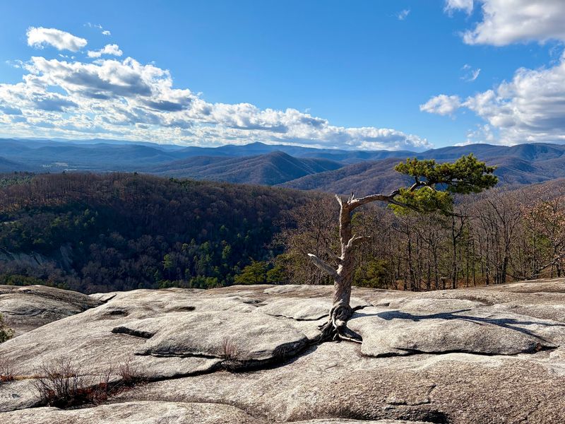Stone Mountain
