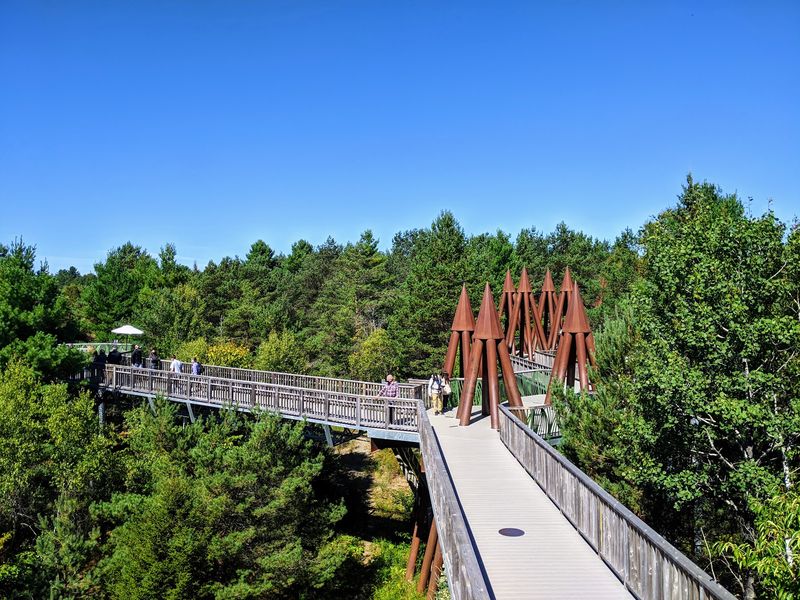 The Wild Center