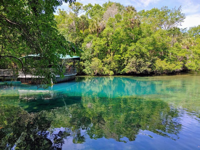 Homosassa Springs Wildlife State Park, Homosassa, Citrus County