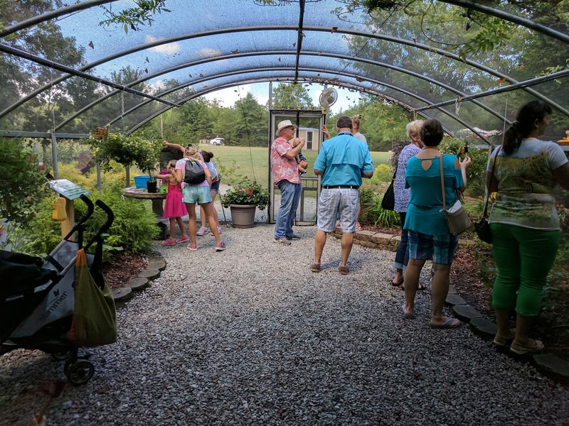 Turn the Visit Into a Family Learning Adventure
