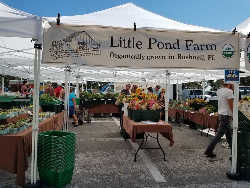 Browse Fresh Produce From Local Farms