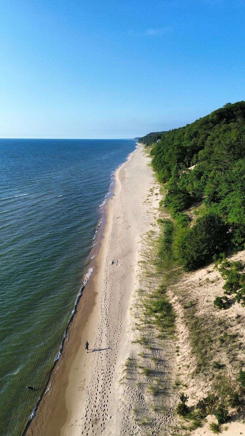 Saugatuck Dunes State Park: Wild Beauty Preserved