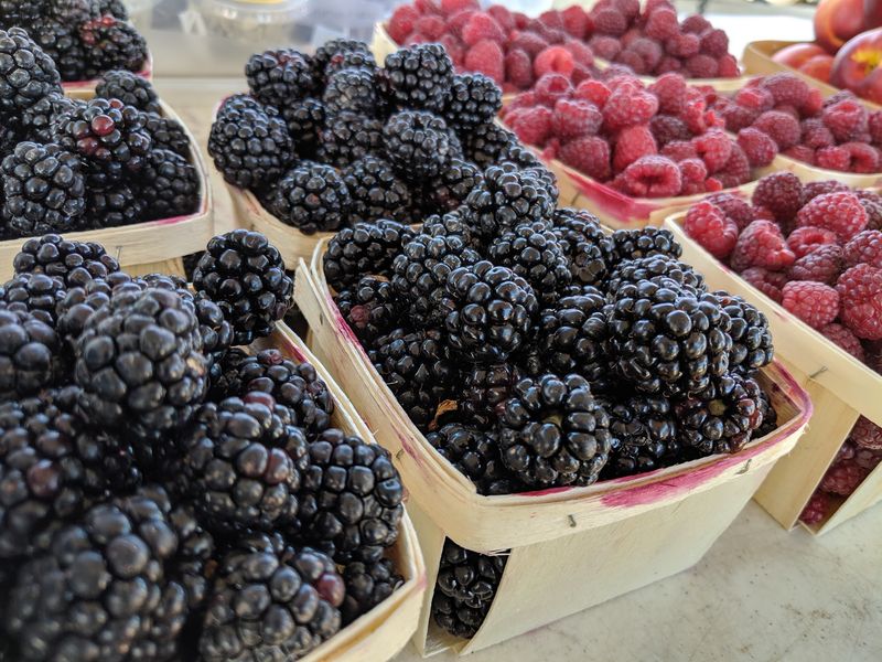 Grand River Farmers Market - Jackson
