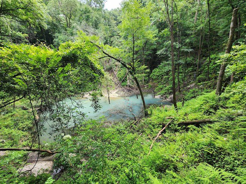 Devil's Millhopper Geological State Park - Gainesville