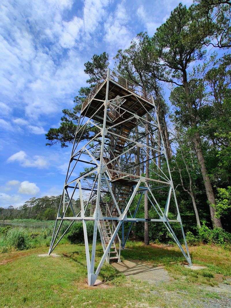 Assawoman Tower - Assawoman Wildlife Area