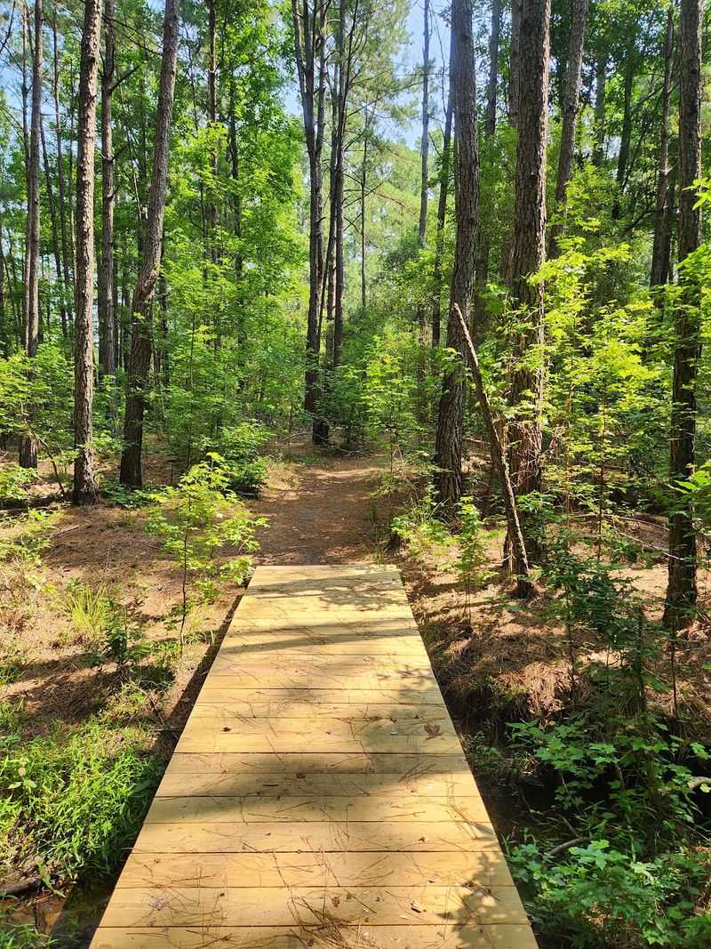 Trails and Wildlife Close By