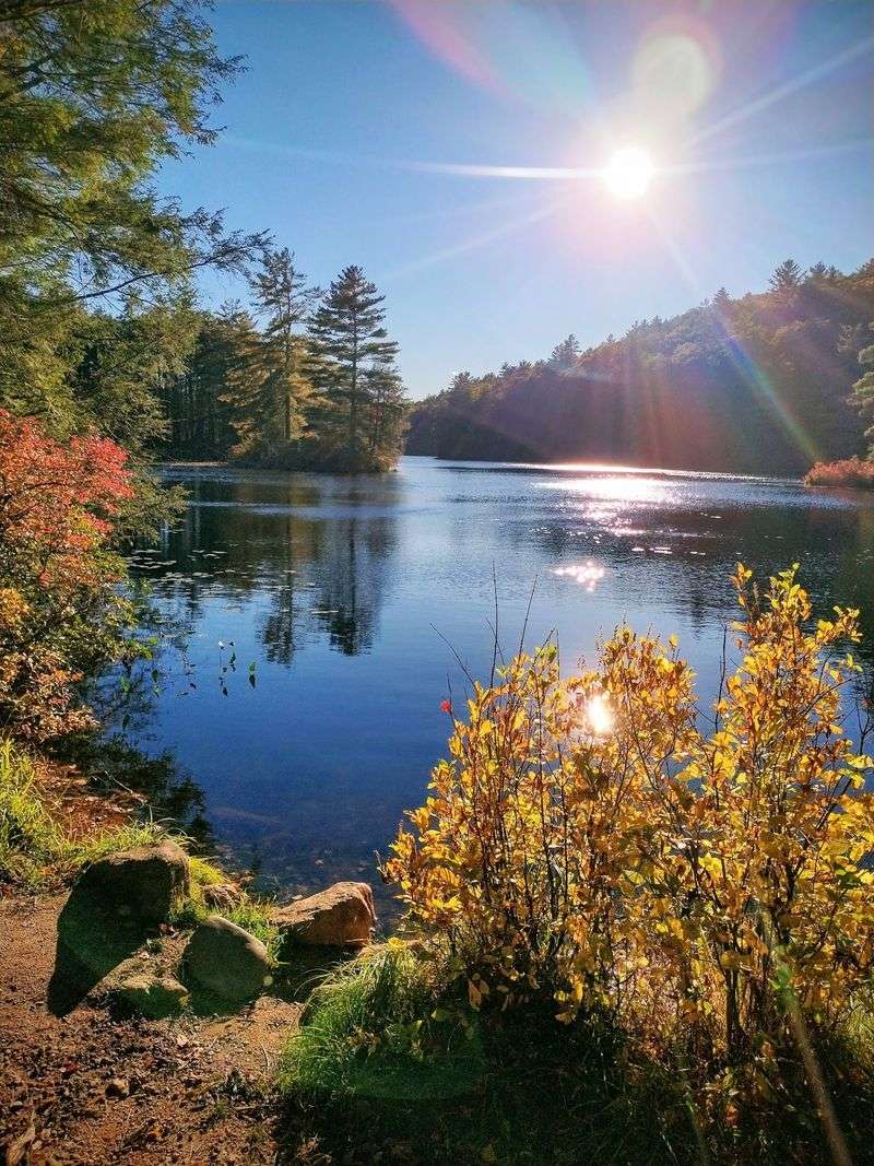 Fall Foliage Peak Season