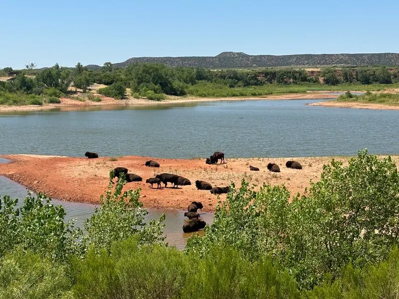 Quitaque to Caprock Canyons State Park