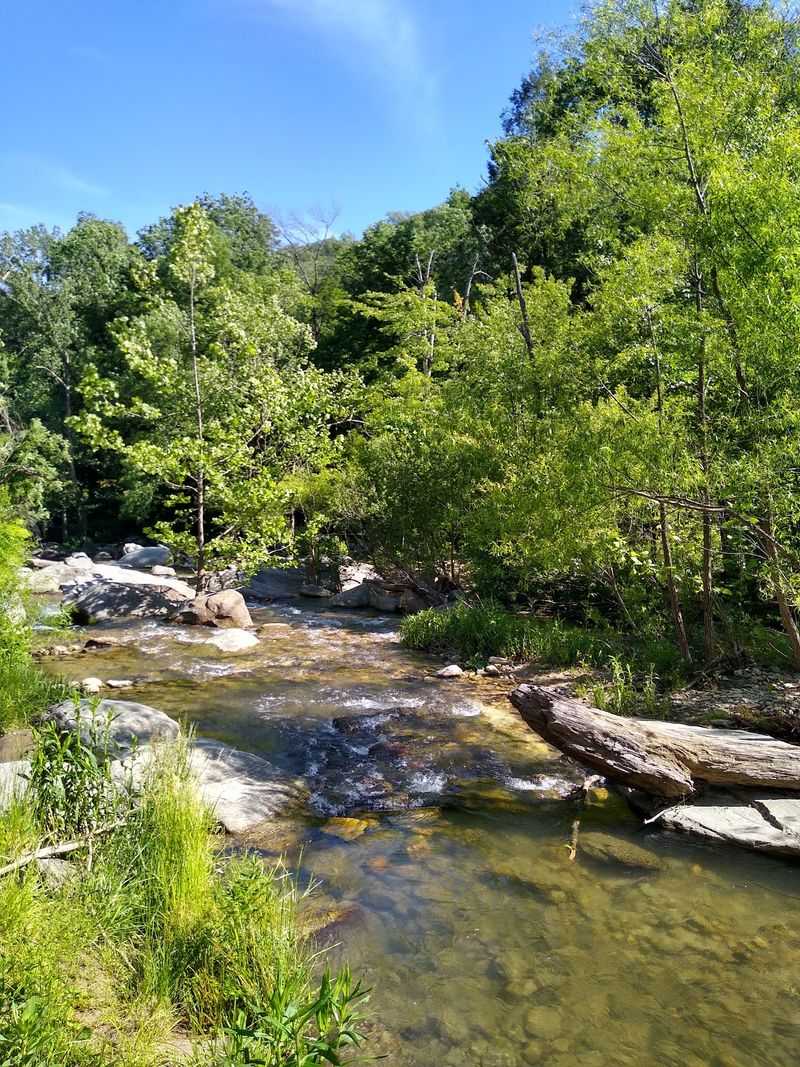 Bearwallow Mountain, Hendersonville, Henderson County