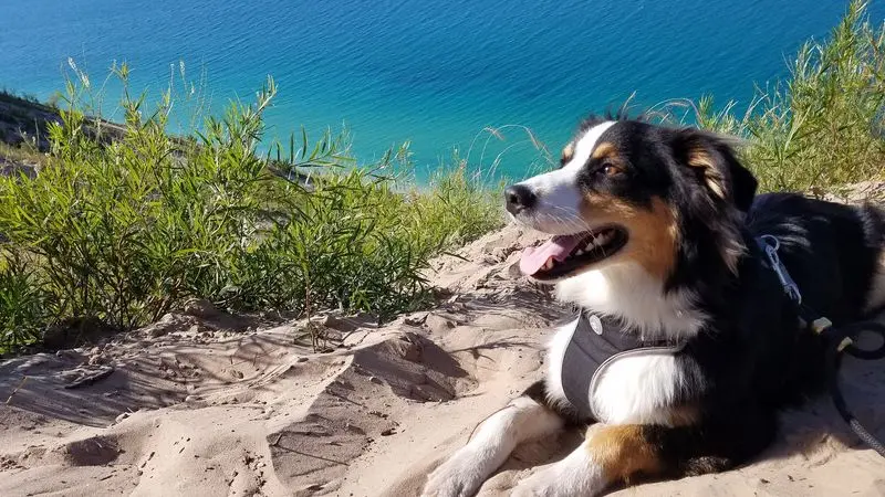 Pyramid Point Trail