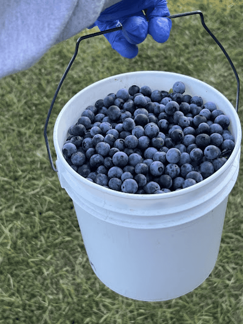Pack Smart for a Georgia Farm Morning