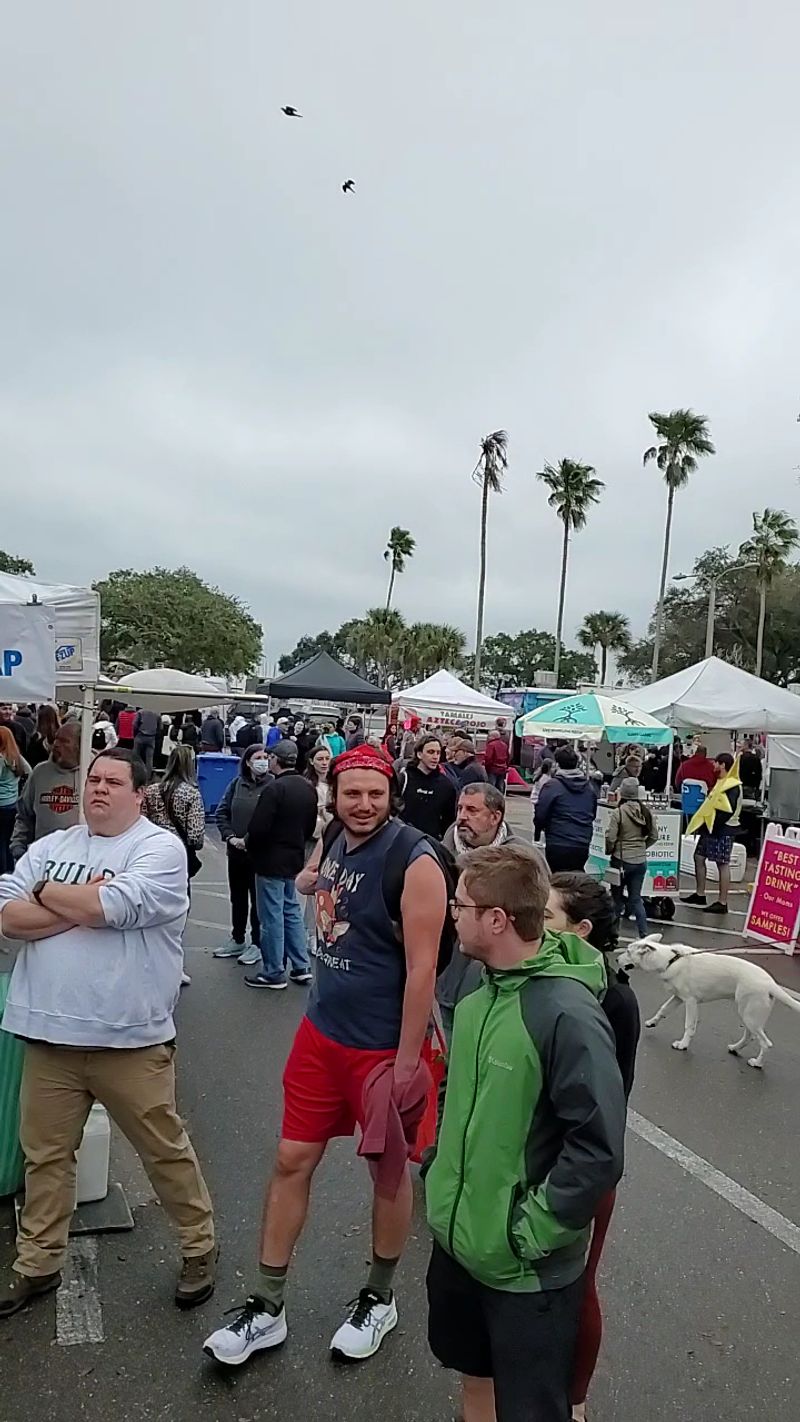 Make It a Dog-Friendly Saturday Out