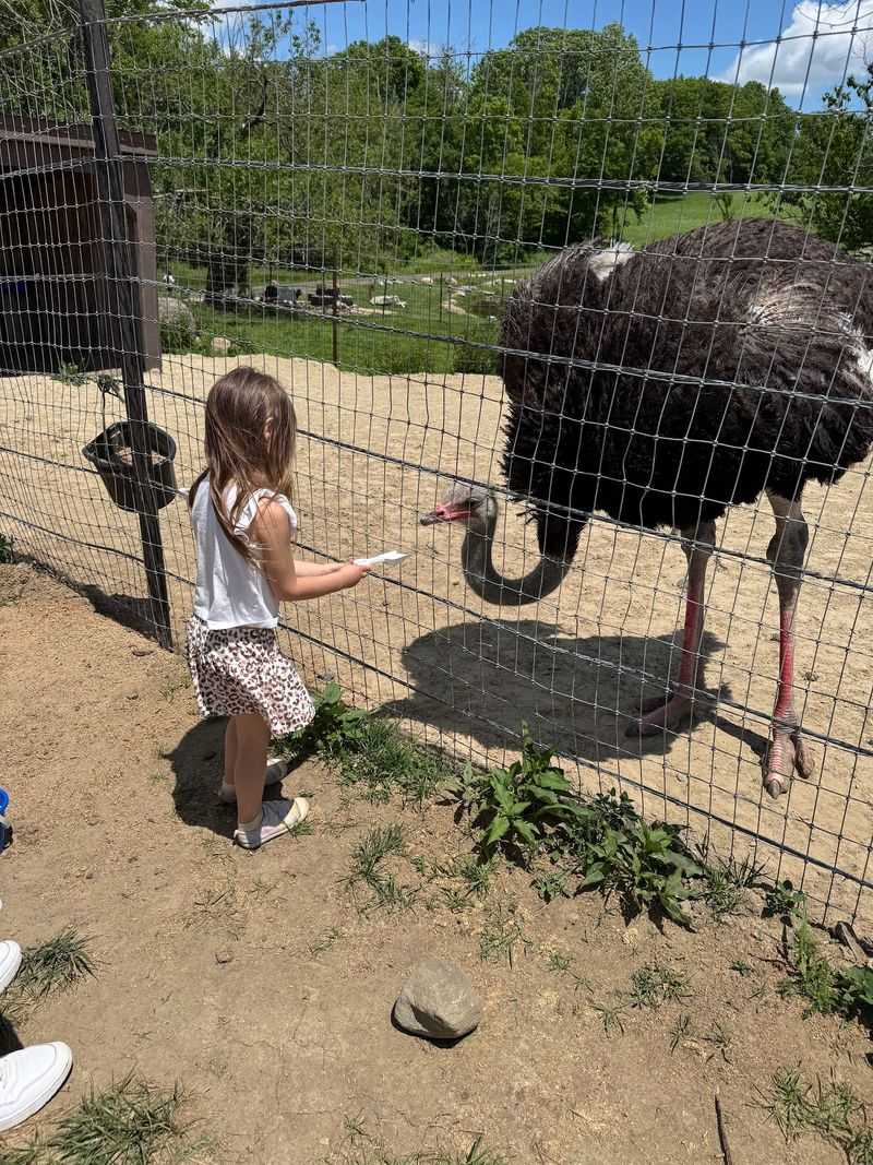A Rare Connecticut Destination That Feels Like a Mini African Safari