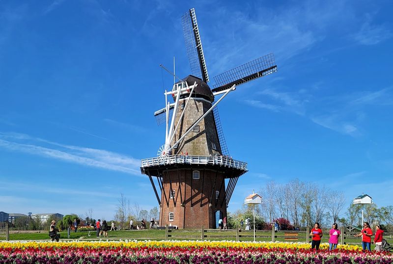De Zwaan, The Last Windmill Allowed To Leave The Netherlands