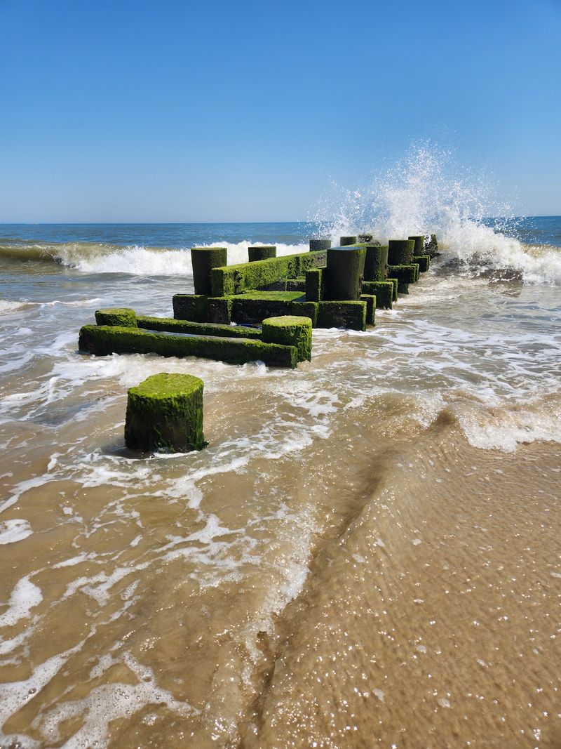 Walk the Rehoboth Beach Boardwalk - Rehoboth Beach
