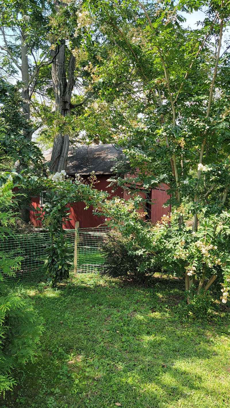 Wander Through The Corbit-Sharp Colonial Revival Garden
