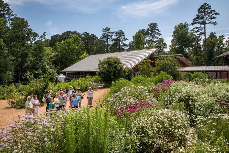 Wander Through the North Carolina Botanical Garden