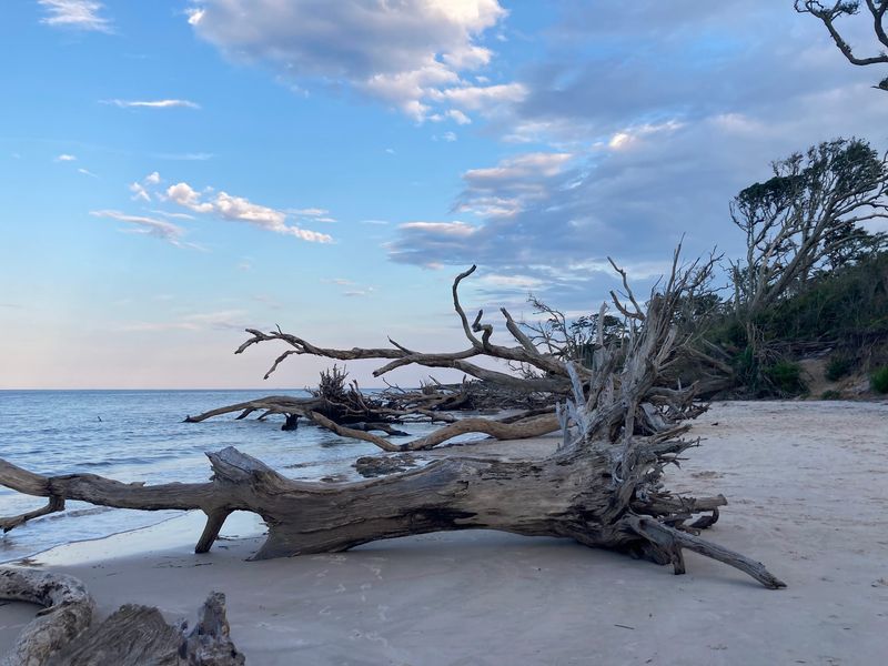 Visit Big Talbot Island State Park - Jacksonville