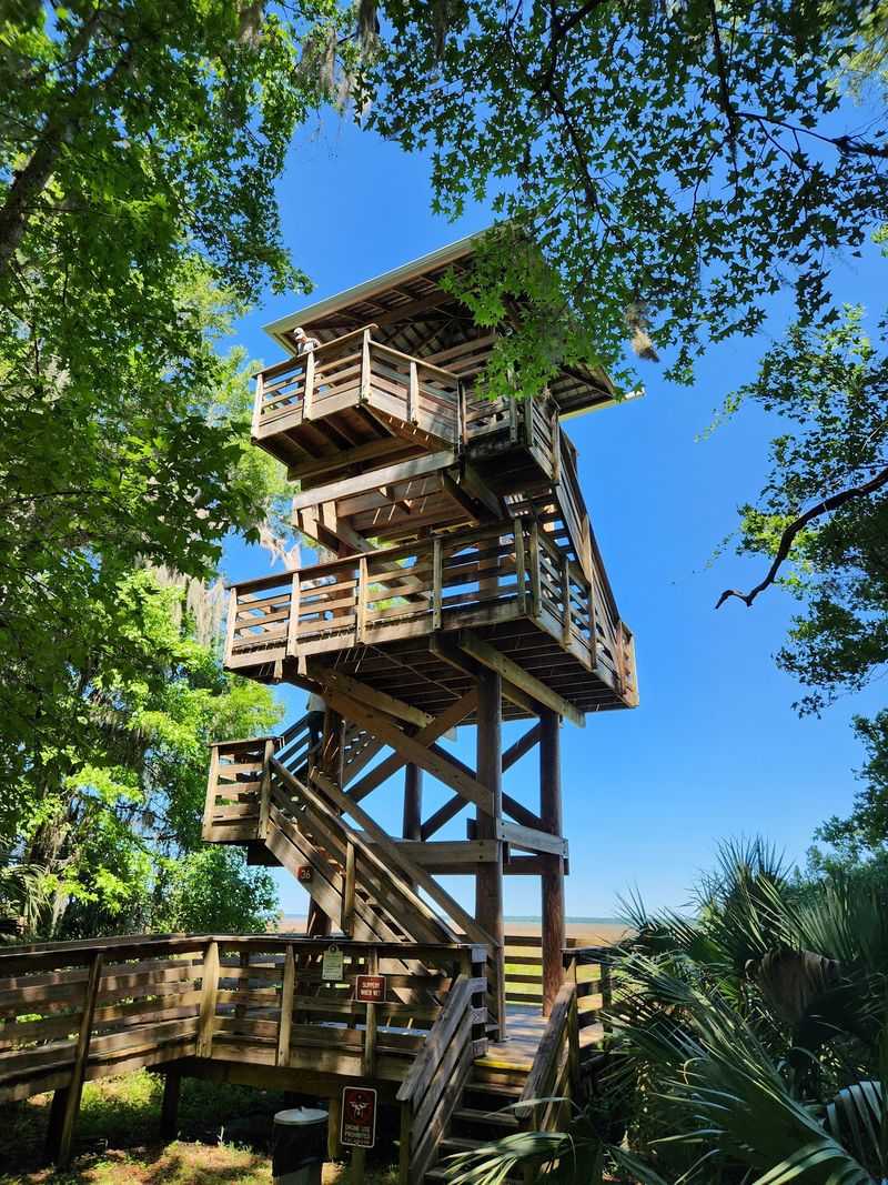 Paynes Prairie Preserve State Park - Micanopy, Alachua County