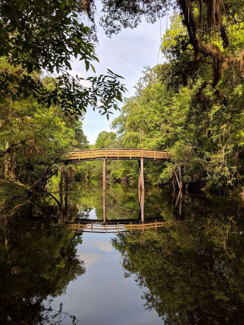 Hillsborough River State Park - Thonotosassa