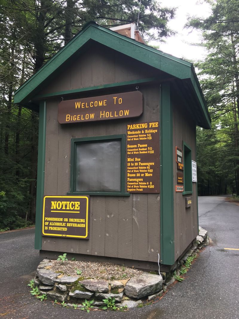 Planning Your Visit and Park Essentials