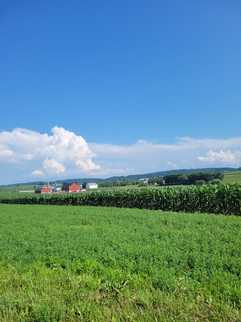 Lancaster - Experience Amish Country, Markets, and Pennsylvania Dutch Food