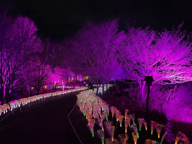Seasonal Events Light Up The Garden Calendar