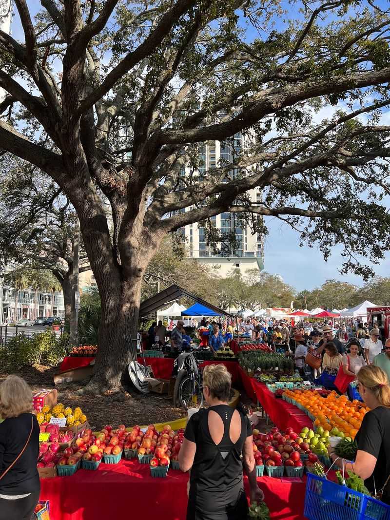 St. Petersburg Saturday Morning Market &mdash; St. Petersburg