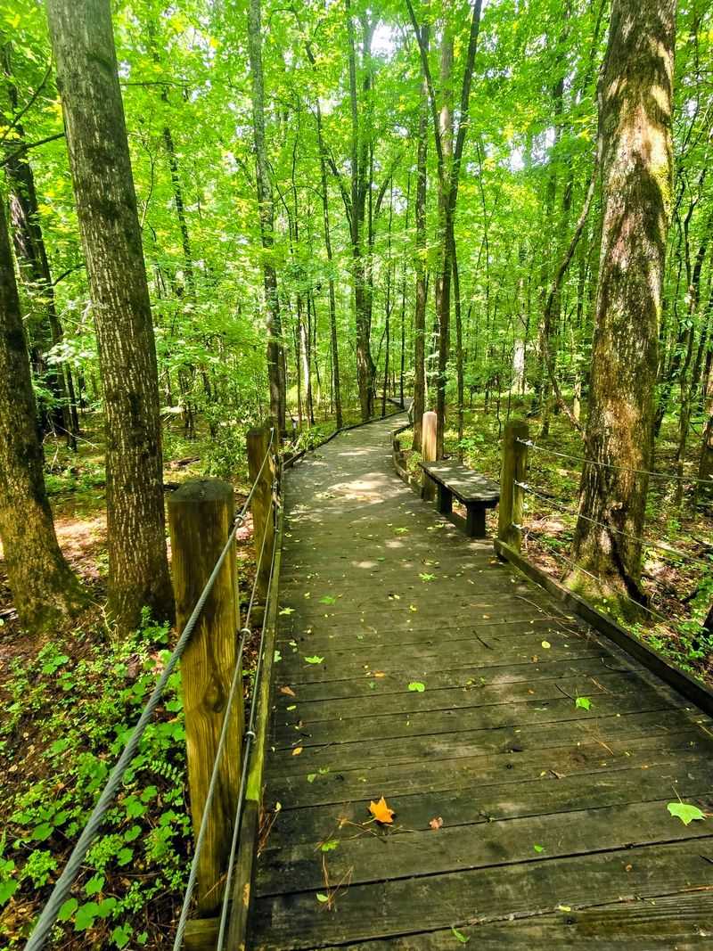 Sandy Creek Nature Center, Athens, Clarke County