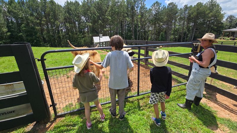 Northern Roots Farm