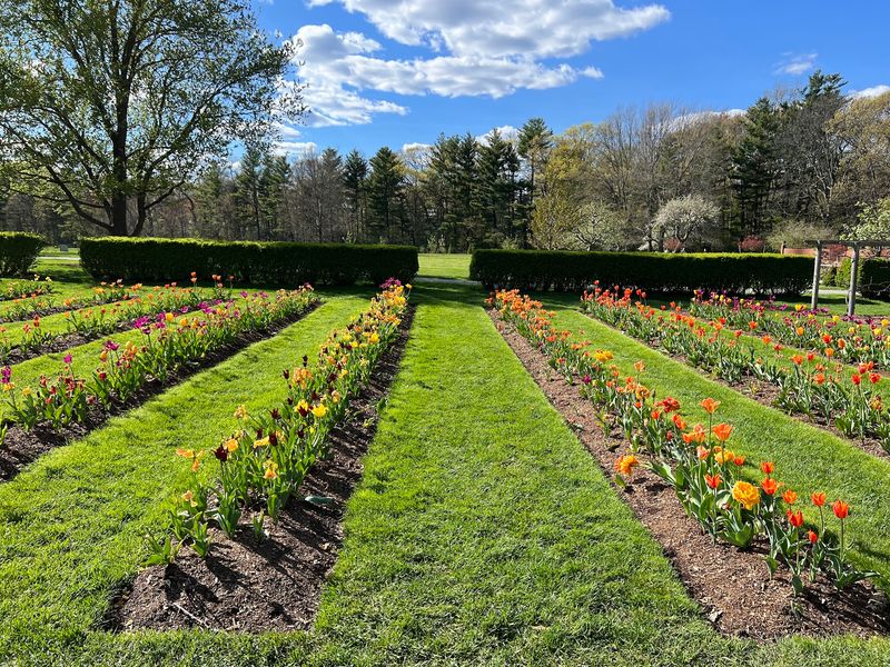 The Formal Parterre Garden That Feels Like Stepping Into Versailles