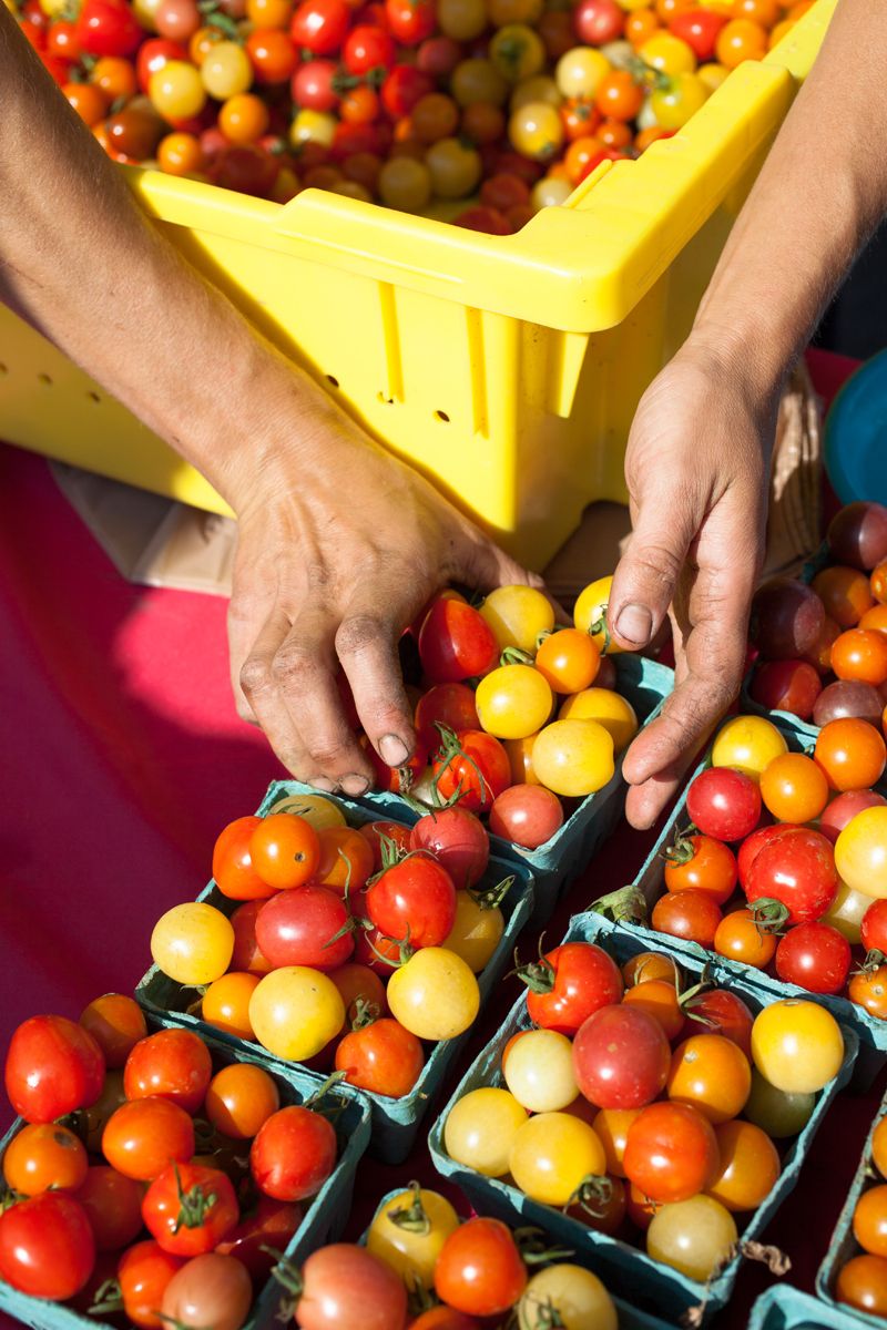 Worthington Farmers Market, Worthington