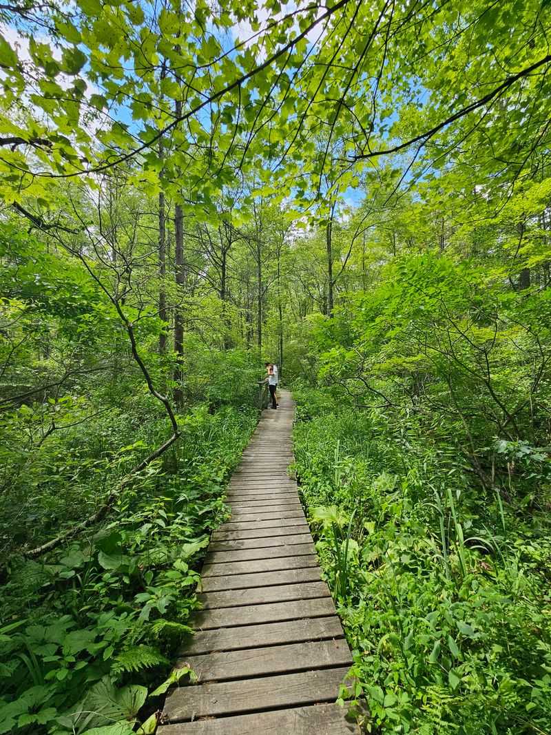 Yankee Springs Recreation Area, Middleville, Barry County