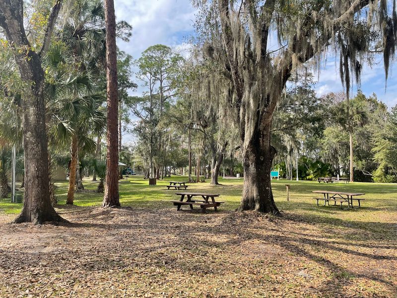 Picnic Tables, Play Space, and Family Comfort