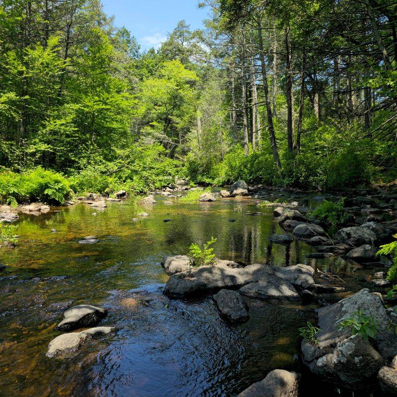Devil's Hopyard State Park - East Haddam, Middlesex County